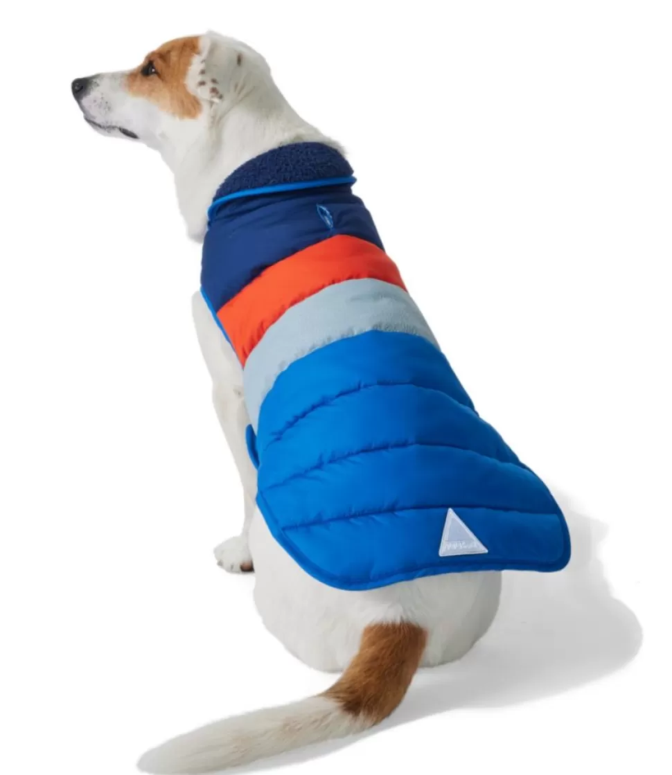 Discount "Bean's Insulated Dog Jacket" Outdoor Accessories | Dog Supplies